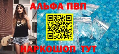 стаф Шелехов