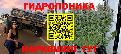 бошки Шахты