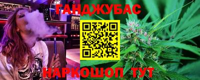 стаф Шелехов