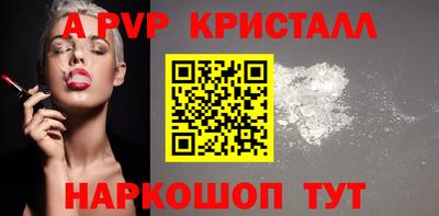 стаф Шелехов