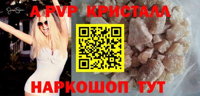 стаф Шелехов