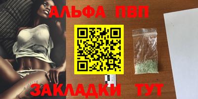 стаф Шелехов