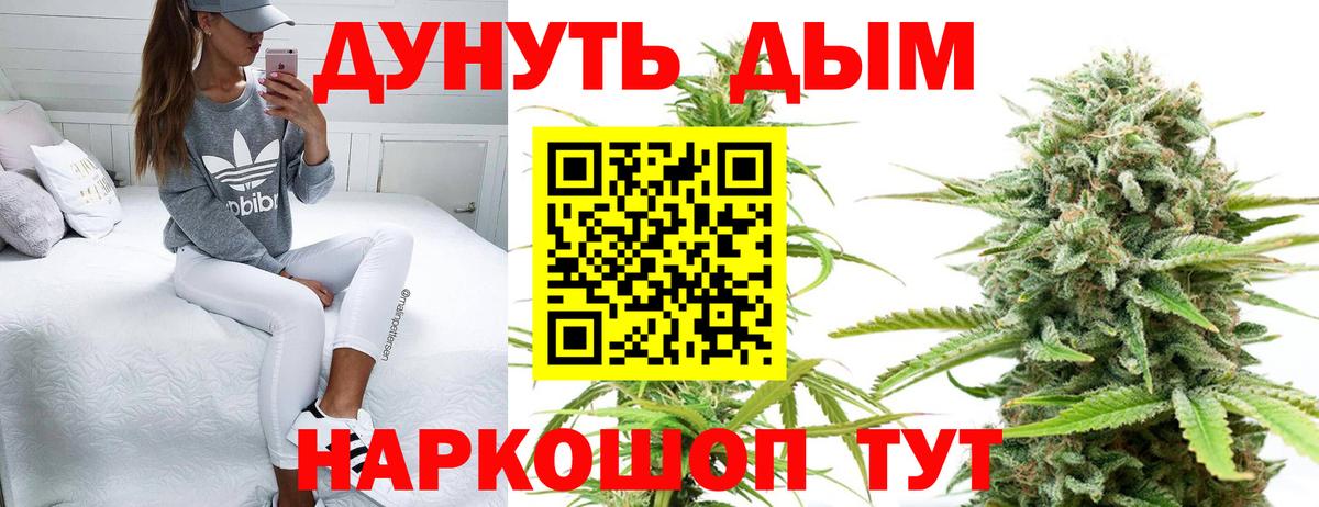 Каннабис ГИДРОПОН Клин